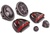 Morel Elate 5 2-way