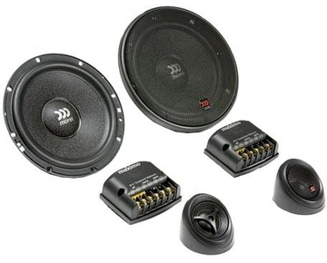 Morel Maximo 6