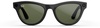 Ray-Ban Meta Skyler Standard - Shiny Black / G-15 Green (RW4010 601/71 52-20)