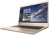 Lenovo IdeaPad 710S-13 (80SW006YRA) Gold