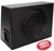 Rockford Fosgate P300-12