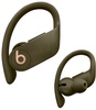 Beats by Dr. Dre Powerbeats Pro Moss (MV712)