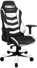 DXRacer Iron OH/IS166/NW