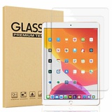 Simple Case Glass Protector for iPad 10.2 (2019-2021)