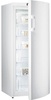 Gorenje F6151IW