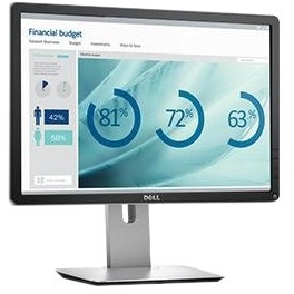 Dell P2016 (210-AFOQ)