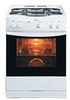 Hansa FCGW66002010