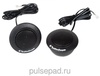 Rockford Fosgate R1T-S