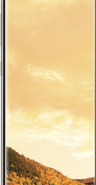 Samsung Galaxy S8 Plus 64Gb (SM-G955FZDDSEK) Maple Gold (UA UCRF)