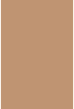 Savage Widetone Mocha 2.72m x 11m