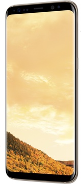 Samsung Galaxy S8 Plus 64Gb (SM-G955FZDDSEK) Maple Gold (UA UCRF)