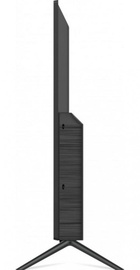 Kivi 40F710KB