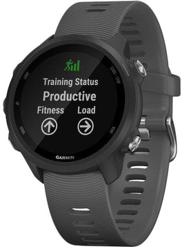 Garmin Forerunner 245 Slate Gray (010-02120-10)