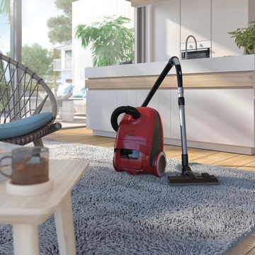 Gorenje VCEA21GPRRCY