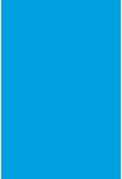 Savage Widetone Blue Jay 2.72m x 11m