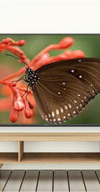KIVI 55U600KD