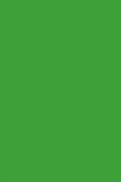 Savage Widetone Tech Green Chromakey 2.18m x 11m