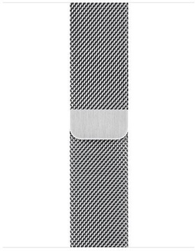 Apple Watch Series 5 GPS + Cellular 40mm Stainless Steel Case with Milanese Loop (MWWT2)