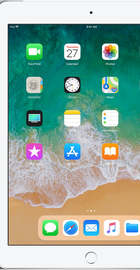 Apple iPad 2018 Wi-Fi + Cellular 128GB Silver (MR7D2)