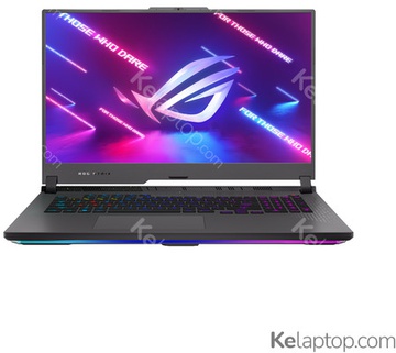 ASUS ROG STRIX G17 G713PI (G713PI-LL005W)