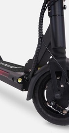 Proove Speedway Black/Red