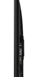 TCL 55P81K