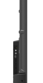 Skyworth 50Q66G