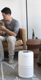 Levoit Air Purifier Core P350 Pet Care (HEAPAPLVNEU0035)