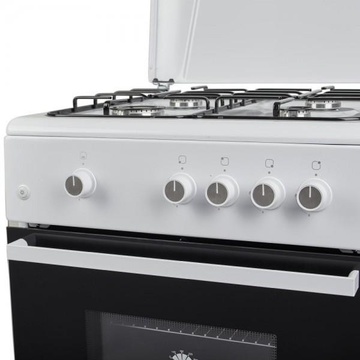 Fiesta G 6403 SD-W