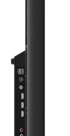 Thomson 43FG2S14