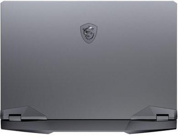 MSI GE66 Raider 10UG (GE6610UG-211US)