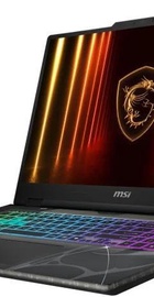 MSI Cyborg 17 B13WFKG (B13WFKG-267XPL)