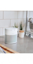 Bose Home Speaker 300 Luxe Silver (808429-2300)