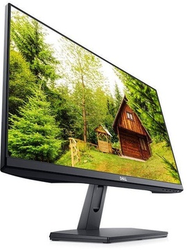 Dell SE2419H (210-AQOK)