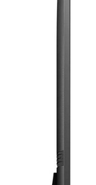 Samsung QE43QN91B
