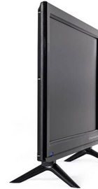 OzoneHD 19HN82T2