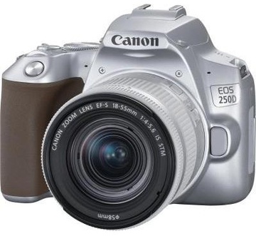 Canon EOS 250D kit (18-55mm) EF-S IS STM Silver (3461C003)