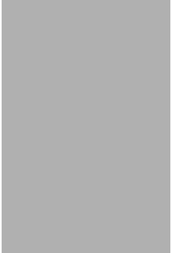 Savage Widetone Focus Gray 1.36m x 11m