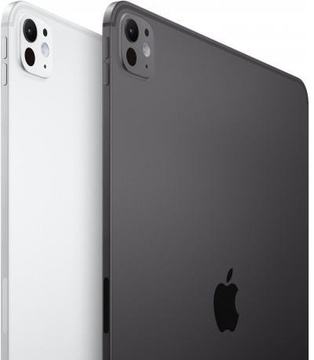 Apple iPad Pro 13 2024 Wi-Fi 1TB Silver with Nano-texture Glass (MWRG3)