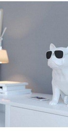 Jarre AeroBull XS1 White