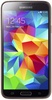 Samsung G900FD Galaxy S5 Duos Gold (UA UCRF)