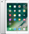Apple iPad 2017 Wi-Fi 128GB Silver (MP2J2)
