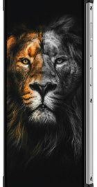 Oukitel WP17 8/128GB Black