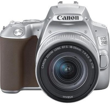 Canon EOS 250D kit (18-55mm) EF-S IS STM Silver (3461C003)