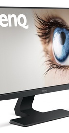 BenQ GL2580HM Black (9H.LGGLB.QBE)