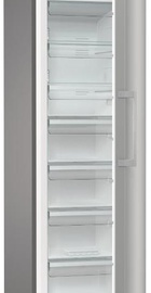 Gorenje FN619EES5