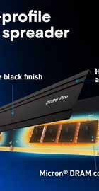 Crucial 16 GB DDR5 5600 MHz Pro (CP16G56C46U5)