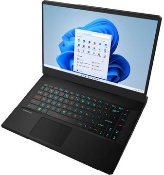 MSI Vector GP66 12UHSO (GP6612UHSO-654)