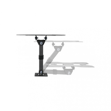 KIVI Motion-221