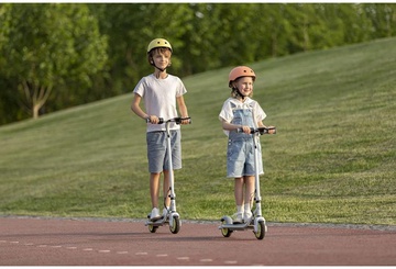 Ninebot eKickScooter ZING C8 (AA.00.0011.61)